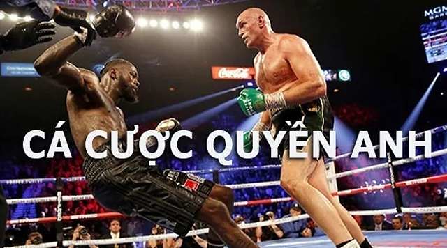 Tổng quan về cá cược boxing